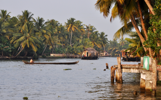 Kuttanad: binnenwateren van Kerala - De geuren en kleuren van de backwater van Kerala, India