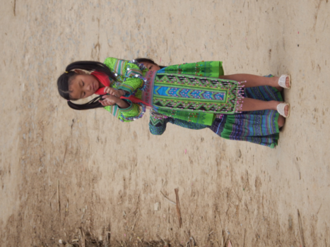 Vietnam - Sa Pa, North Vietnam. flower M'ong girl and mother going to market