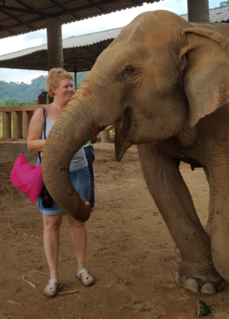 Rondreis Thailand in twee weken - Elephant Nature Park