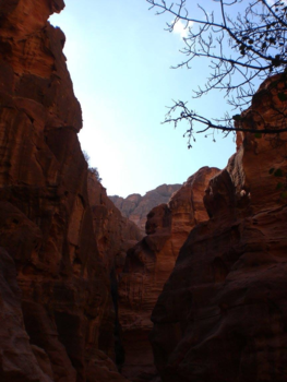 Petra - Landschap bij Petra