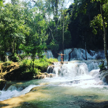 Laos - Free like a bird