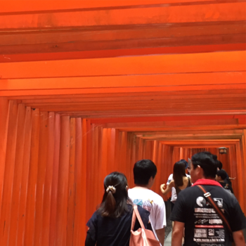 Tokio - Kyoto shrine met honderden rode poortjes