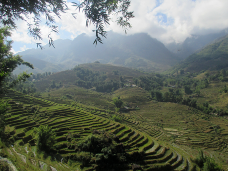 Sapa - Rijstvelden in Sapa, Vietnam