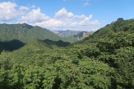 Chinese Muur - Vieuw from the greatwall of China