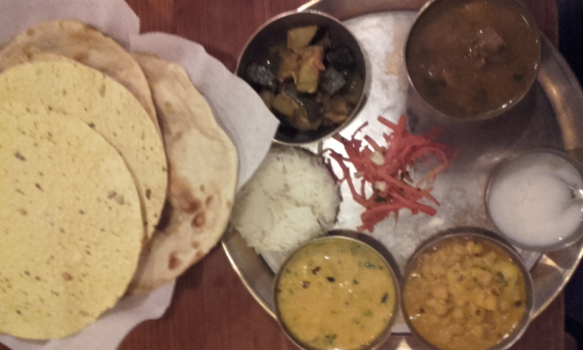 India - Van reizen krijg je trek...