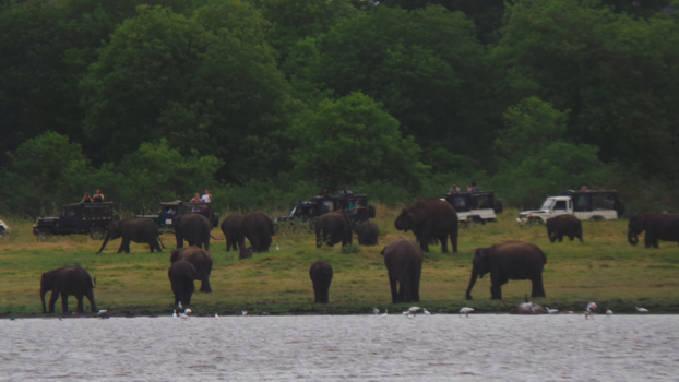 Sri Lanka - Safari in Sri Lanka