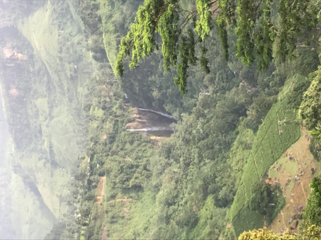 Sri Lanka - Watervallen langs de treinrails