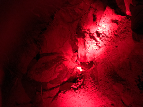 Sri Lanka - Schildpad eitjes leggen