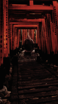 Kyoto - " Yokai " in Fushimi-Inari Taisha