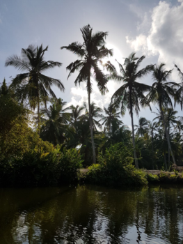 Sri Lanka - Het Nederlands Kanaal