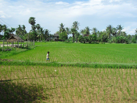 Cambodja - Journey to the unknown