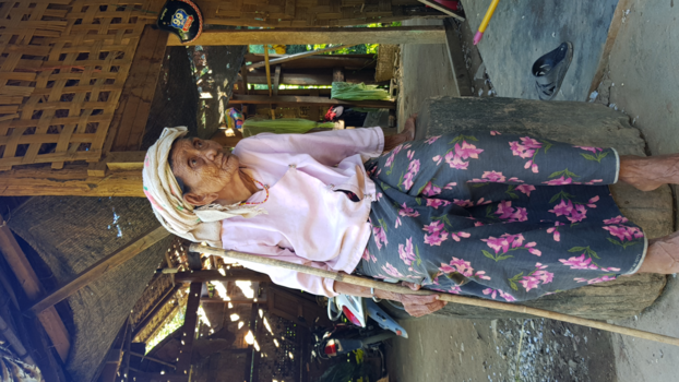 Rondreis Noord-Thailand - A beautiful old lady