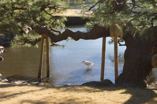 Tokio - een park in Tokyo