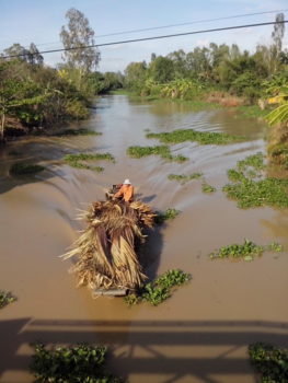 Vietnam - Vietnam Mekong Delta Bac Lieu
