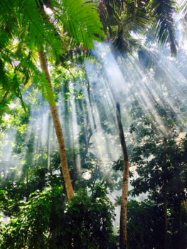 Malediven - Natuur van Nalaguraidhoo
