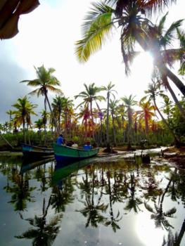 India - Mesmerising  backwaters in Kerala, India