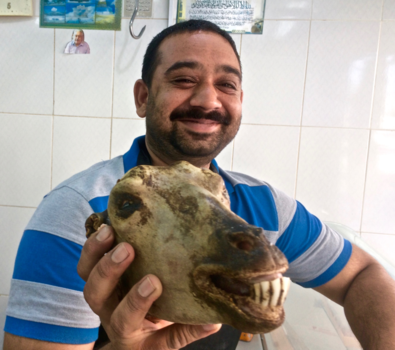 Dubai - Twee gezichten in het oude Dubai