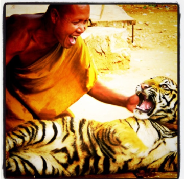 Rondreis Noord-Thailand - Yin Yang