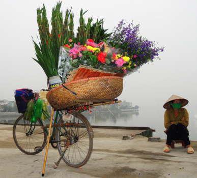 Vietnam - Bloemenfiets in Hanoi.