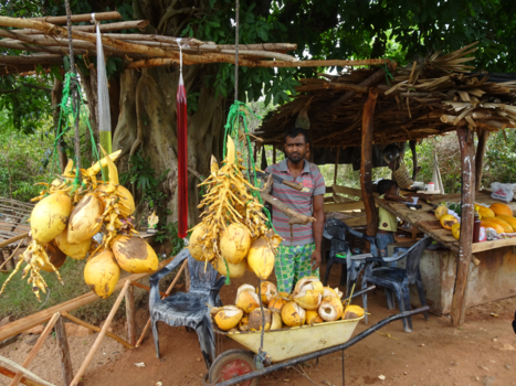 Sri Lanka - Fruitkraampje langs de weg