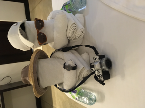 Sri Lanka - Handdoekenkunst