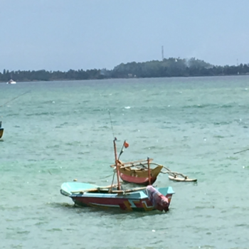 Sri Lanka - Vissen met Catamaran op zee
