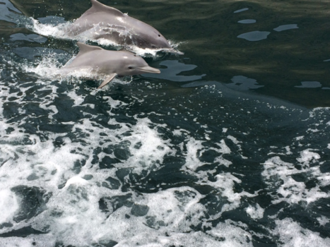 Oman - A day at the sea...