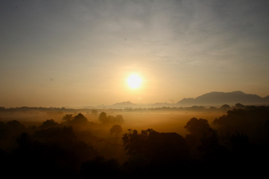 Sri Lanka - Golden landscape
