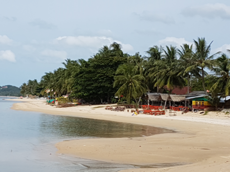 Koh Samui - Chillen in het paradijs!