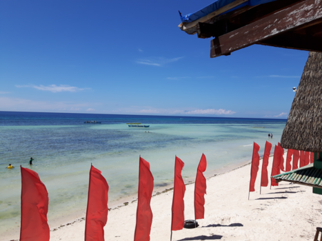 Filipijnen - Het bounty gevoel bij Anda de Boracay op Bohol.