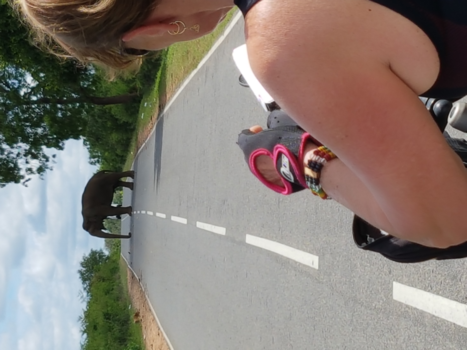 Sri Lanka - Overstekende olifant