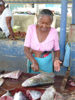 Sri Lanka - Vismarkt Negombo