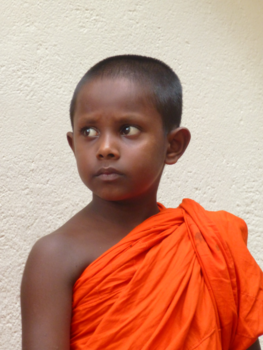 Sri Lanka - Jong geleerd....oud gedaan!