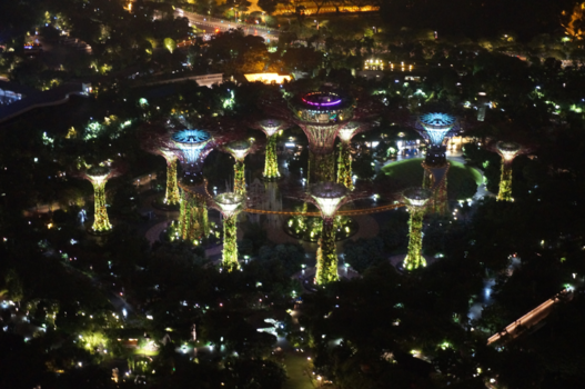 Singapore - Gardens by the Bay