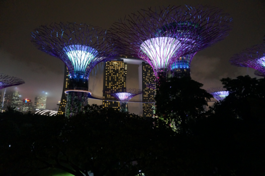 Singapore - Gardens by the Bay en Marina Bay Sands Hotel
