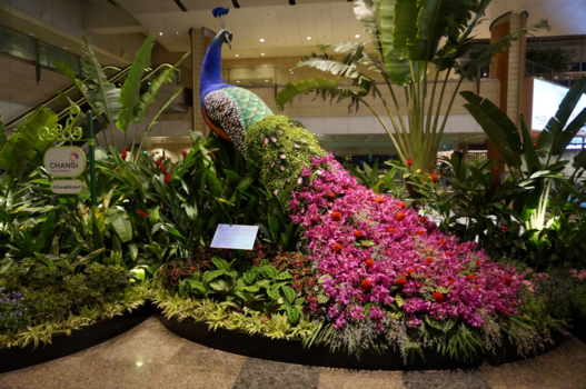 Singapore - Impressie van de botanische tuin op het vliegveld