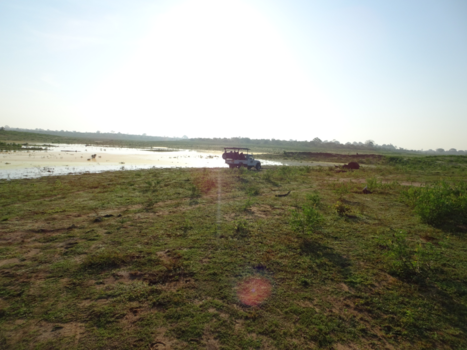 Sri Lanka - Udawalawe NP