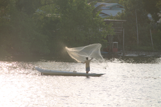 Kuching - Visser in de Sarawak river, Kuching