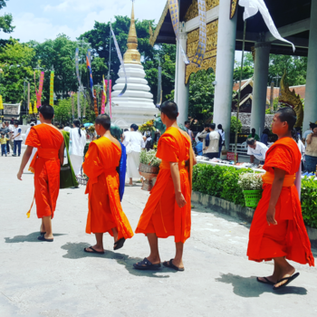 Thailand - Chiang Mai- Thailand
