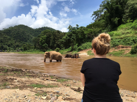 Thailand - The most majestic animals in the world @Elephant Nature Park