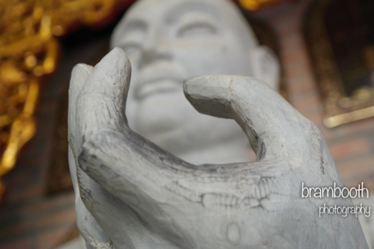 Vietnam - Buddha close up
