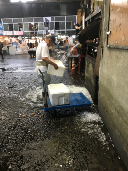 Tokio - Tokyo Fish Market Ice Bucket