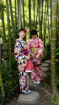 Japan - Tussen de bamboestruiken