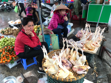 Rondreis Noord-Vietnam - Markt Halong Bay