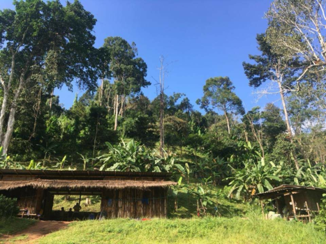 Rondreis Thailand in twee weken - Jungle tocht chang mai