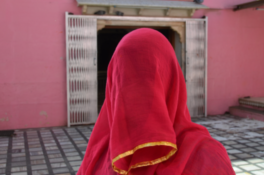 Rondreis Rajasthan - La vie en rose