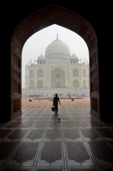 Rondreis Rajasthan - Taj mahal met duif en waterdrager