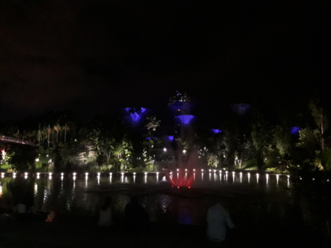 Singapore - Gardens by the bay