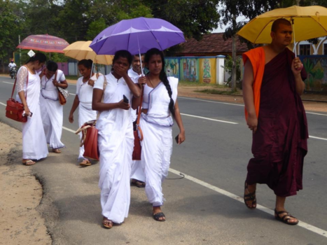 Sri Lanka - Wie bekijkt wie?
