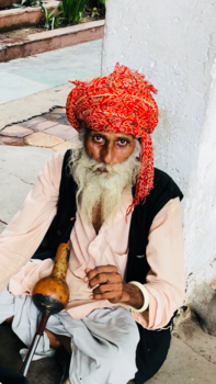 India - Slangenbezweerder in India